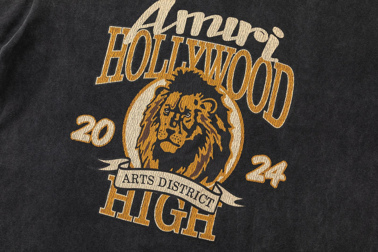 AMIRI T-Shirts