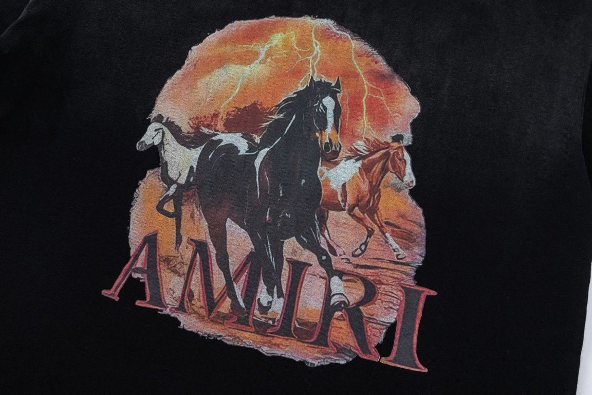 AMIRI T-Shirts