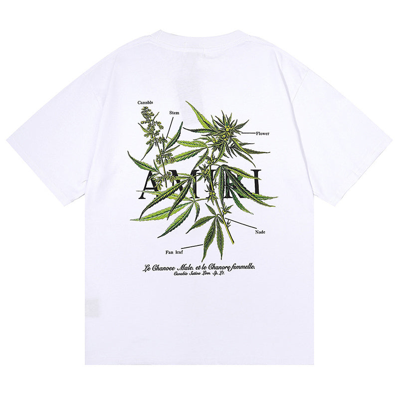 AMIRI T-Shirts